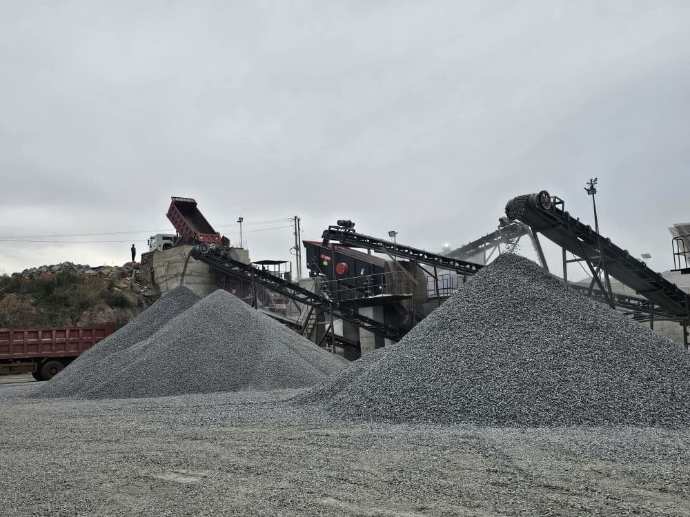 Environmental Sustainability